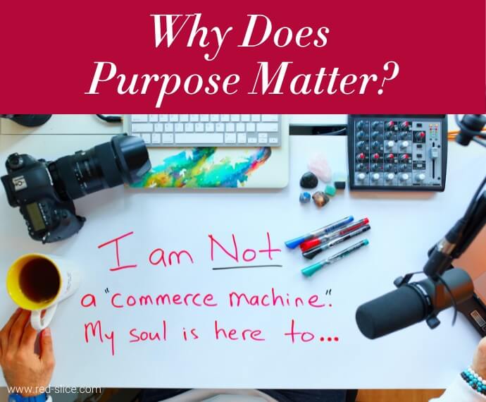 ONE Why Does Purpose Matter San Diego Entrepreneurs
